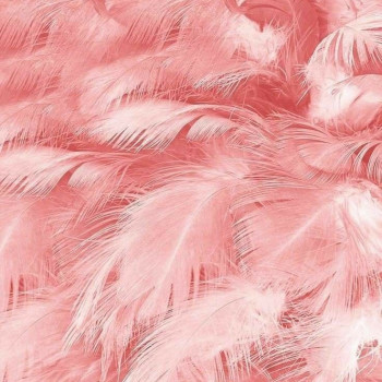 Юлия Серебрякова