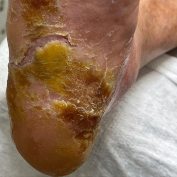 Екатерина Чугорева, Москва Фото - 5