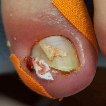 Виктория Адаменко, Rostov-on-Don Фото - 5