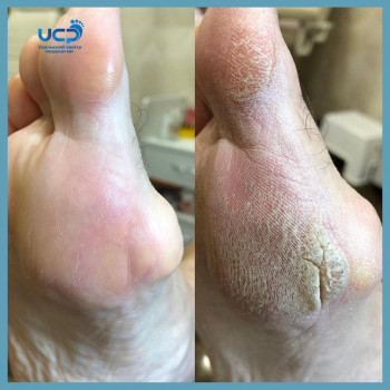 Елена , Челябинск Фото - 6