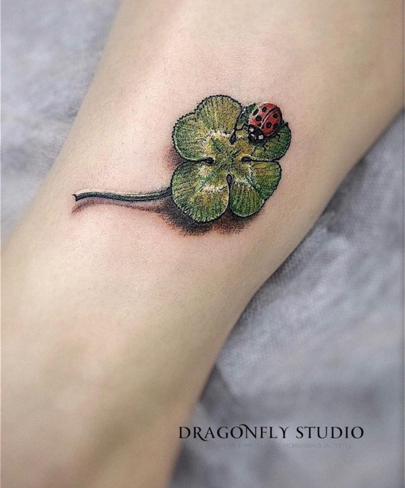 Женские 3d божья коровка, photo - Тату салон Dragon Fly Studio