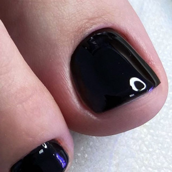 Zebra, Уфа Фото - 5