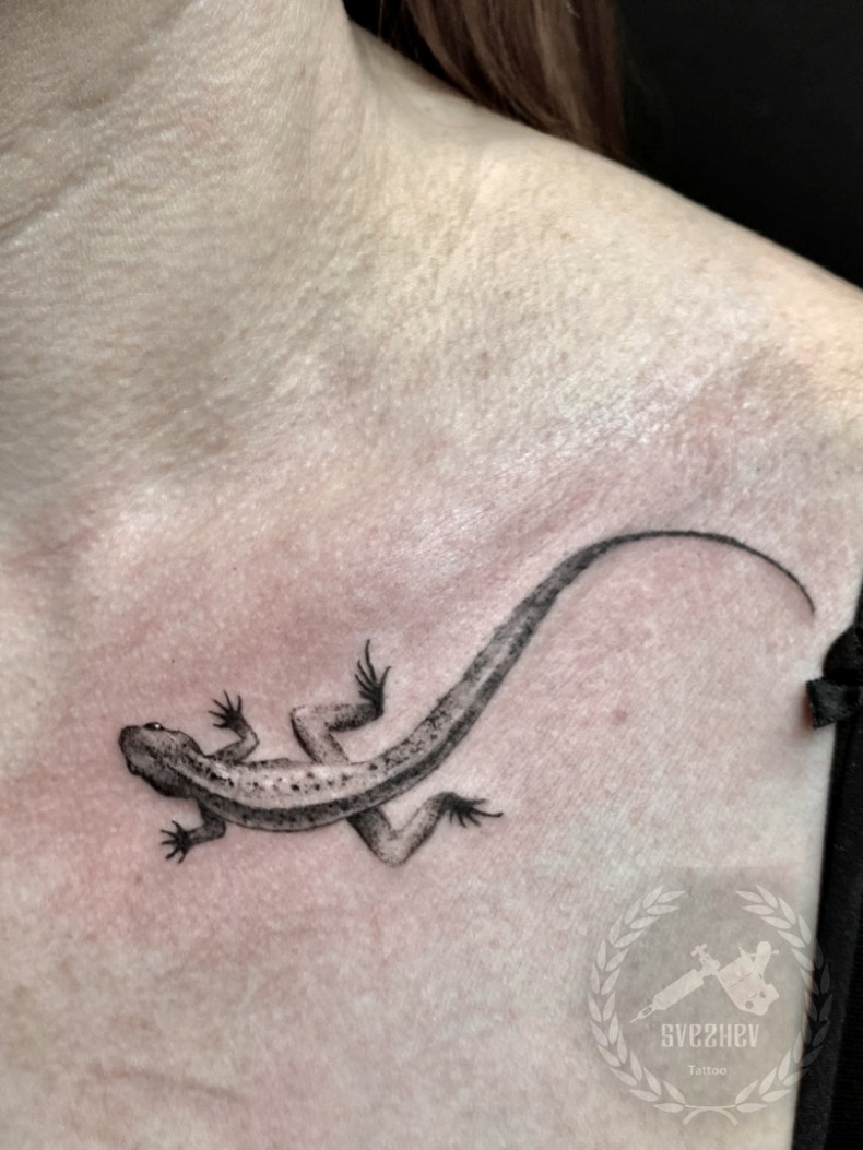 На ключице ящерица, photo - Тату салон Tattoo Art Studio
