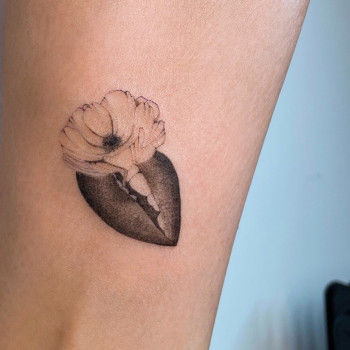 Ксения Нова, Saint Petersburg Фото - 5