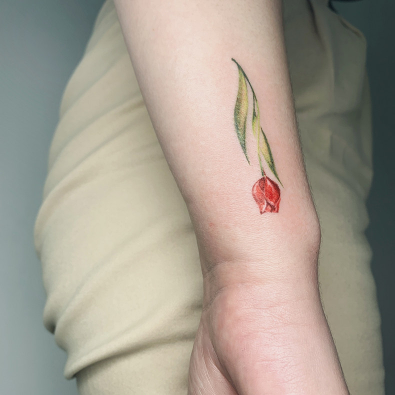 Ramię tulipan kolorowy, photo - Tatuażysta Анна Ширяева