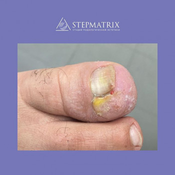 StepMatrix, Moscow Фото - 7