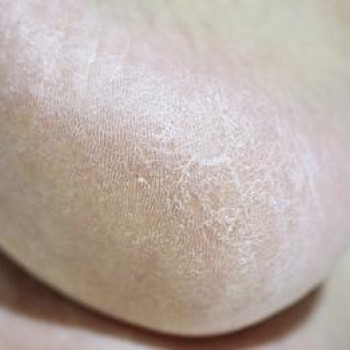 Аnmedica, Познань Фото - 5