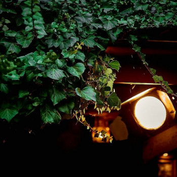 Sergey , Poznan Фото - 5