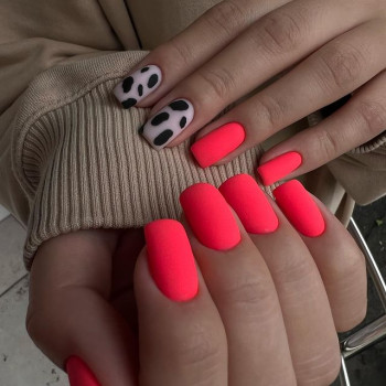 Red Nail, Vladivostok Фото - 5