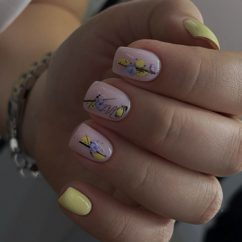 Commode Nails, Краснодар Фото - 9