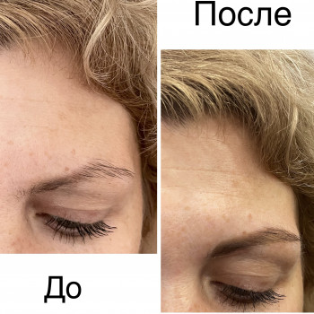 Архитектура и окрашивание бровей краской Bronsun