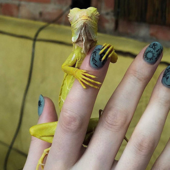 Grunge Garage, Yekaterinburg Фото - 6