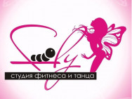 Klub Sportowy Fly Novosibirsk,проспект Карла Маркса, 25 район Bashnya