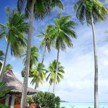 Дмитрий Эрслер, Phuket Фото - 5