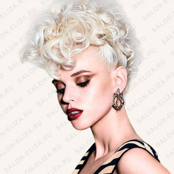 Wella Элиза, Moscow Фото - 48