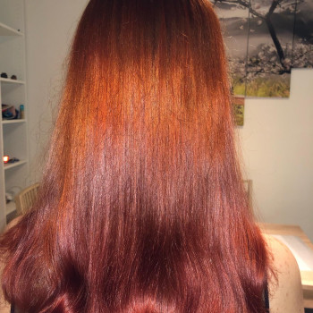 Колористика 