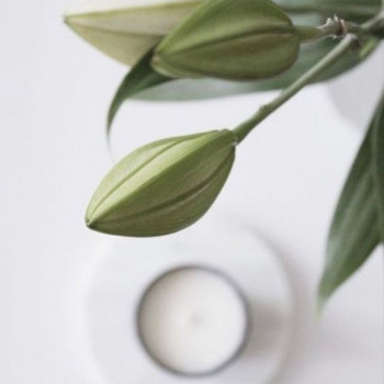 Анастасия Воронина