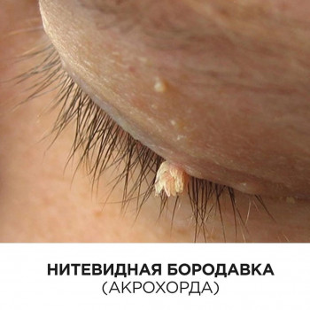 Николай Петроченко, Moscow Фото - 5