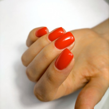 Наталья Юрьевна Строганова, Ulyanovsk Фото - 10