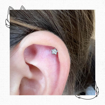 Алина , Moscow Фото - 5