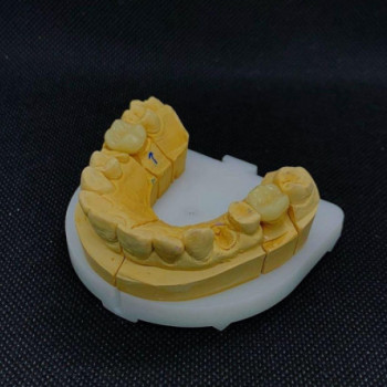 Моя улыбка, Moscow Фото - 5