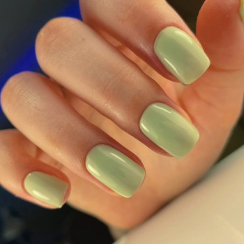 Маникюр и педикюр
                    Maniküre Анастасия  Rostov-on-Don