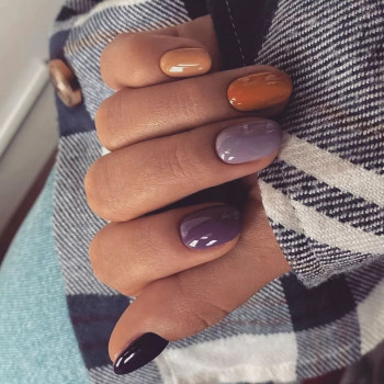 Niwell, Moscow Фото - 7