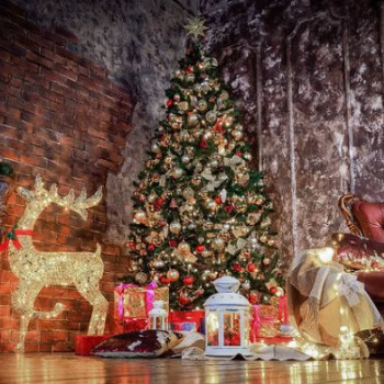 Kraft, Москва Фото - 6