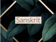 Beauty Salon Sanskrit on Barb.pro