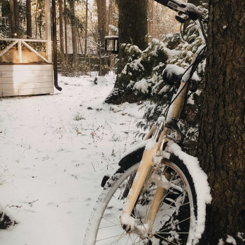 Дом Феникса, Moscow Фото - 5