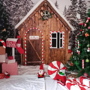 Zebra Foto, Moscow Фото - 6