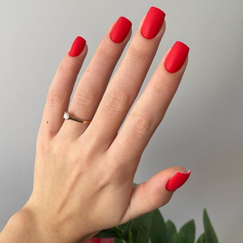 Tatyana , Wrocław Фото - 5