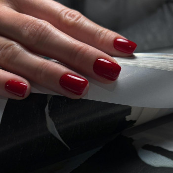 Nataly , Wrocław Фото - 5