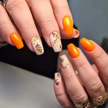 LediS, Łódź Фото - 5