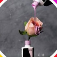 Maniküre Алина Poznan,Nowowiejski 7, 61-731