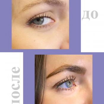 коррекция (пинцет) + окрашивание 