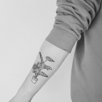 Татуировка
                    Тату мастер Софья Макарцева Санкт-Петербург