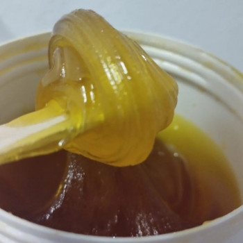 Alla Vershinina, Wroclaw Фото - 5