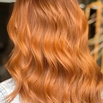 Alexander , Krakow Фото - 5