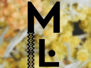 Massage Salon Masaż Line Gdańsk,Długie Ogrody 21, 80-754