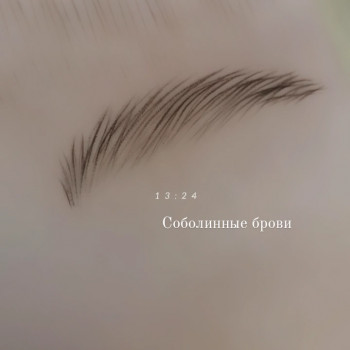 Волосковая техника бровей.