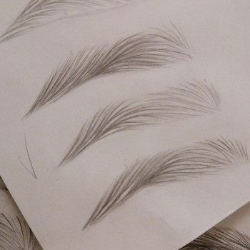 Эскизы бровей, в волосковой технике.