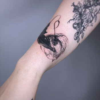 Ganskaja , Wrocław Фото - 7