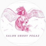 Beauty Salon Pegaz on Barb.pro