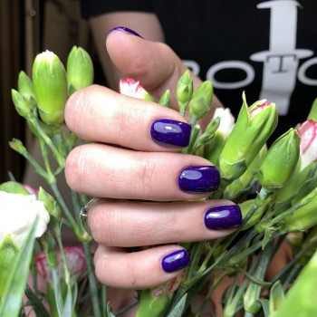 Pegaz, Gdańsk Фото - 7