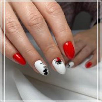 Zebra, Краков Фото - 5