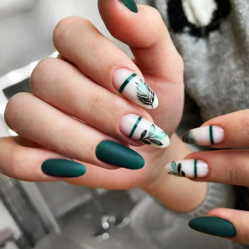 Volus, Gdańsk Фото - 5