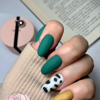 Studio MS, Poznań Фото - 6