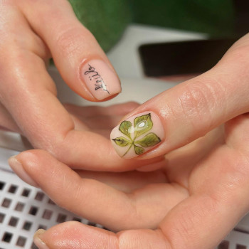 Divine, Краков Фото - 7