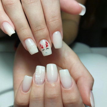 Elitepro, Wroclaw Фото - 7